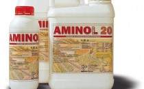 AMINOL FORTE 20