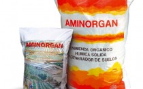 AMINORGAN