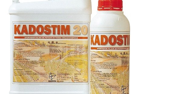 KADOSTIM 20